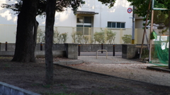 DSC06869