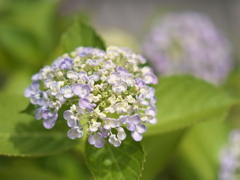 P1053043