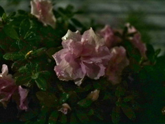P1051118