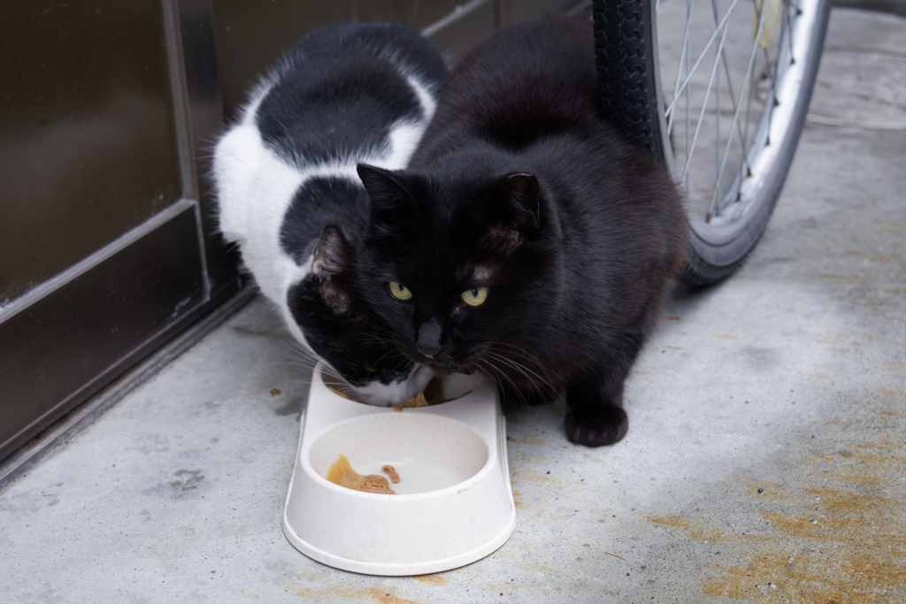 DSC01107_DxO