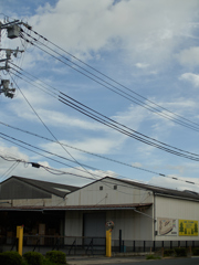 DSC03117