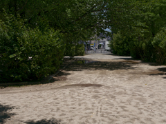 _1010051_DxO