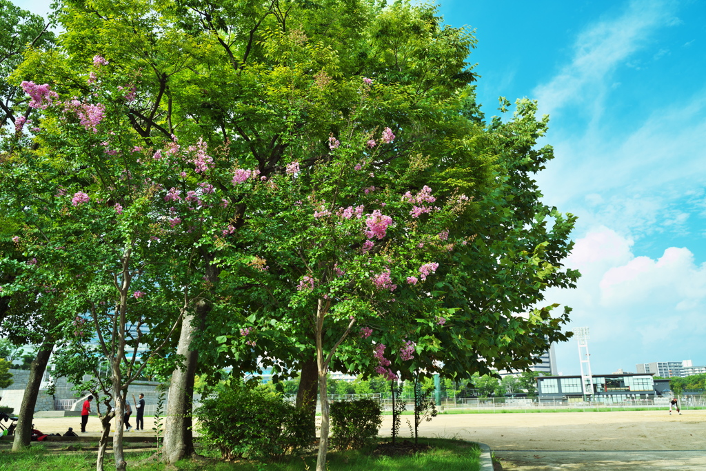 DSC01821