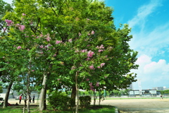 DSC01821