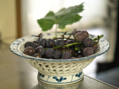 P1082135