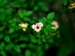 P1081966
