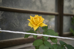 A7C09303