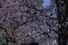 A7C08836 1