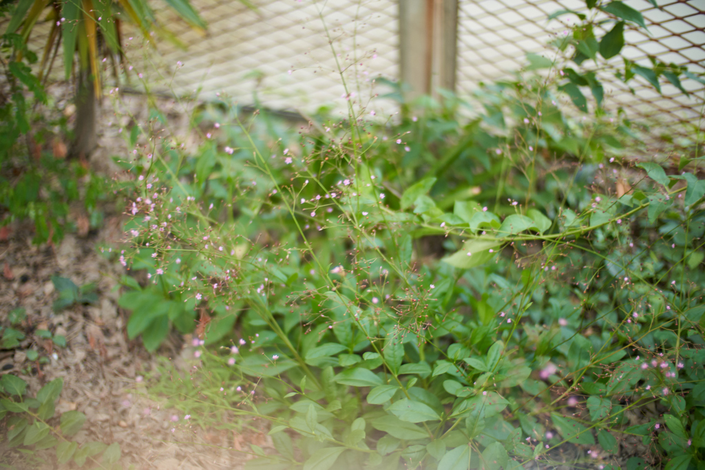 DSC02409