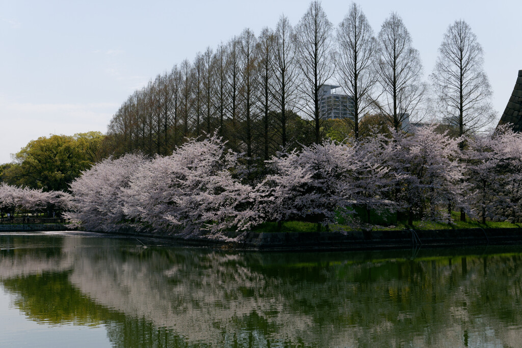 P1000847_DxO
