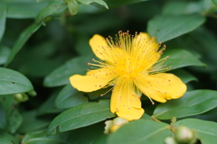 A7C07694