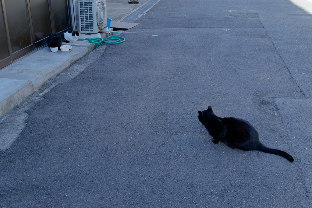 P1050105_DxO