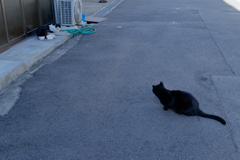 P1050105_DxO