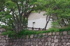 DSC01306