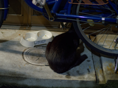 P1020276_DxO