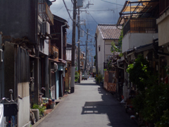 夏後半