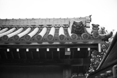 DSC02390