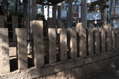 P1000284