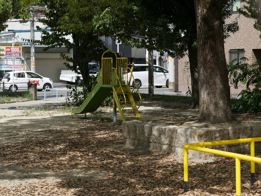 _1010597_DxO