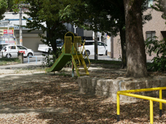 _1010597_DxO