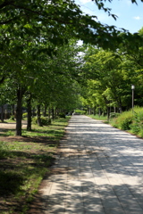 DSC00900