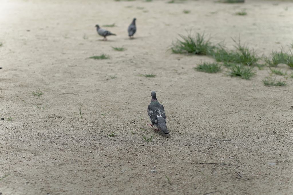 7R301053_DxO