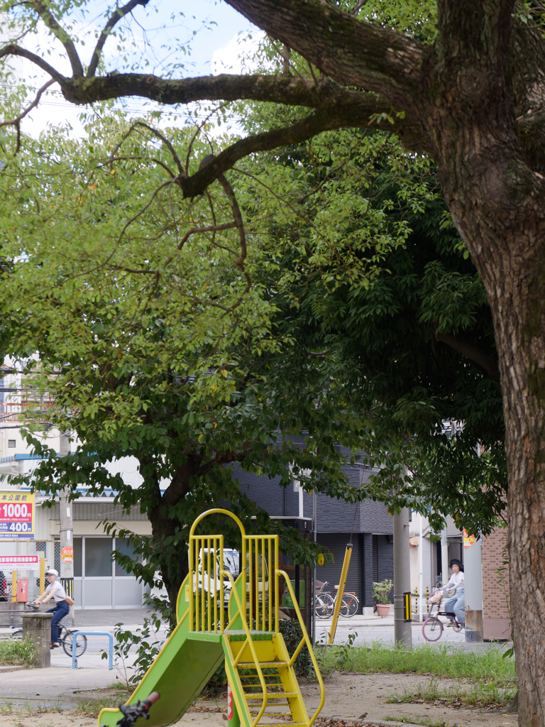 公園