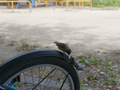 _1000818_DxO