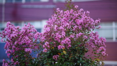DSC06853