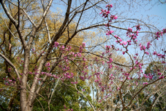 DSC00405