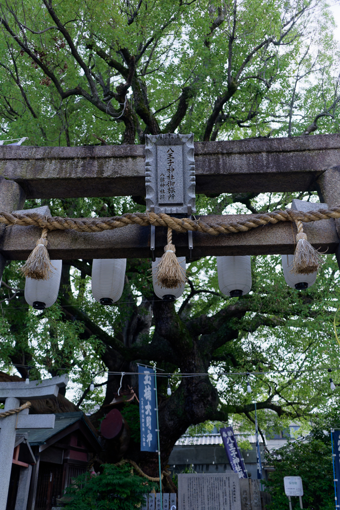 地域の祭りの準備が始まる