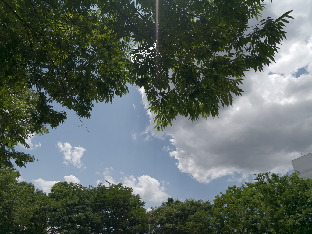 _1010088_DxO