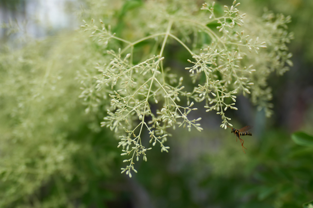 DSC00612_3