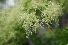 DSC00612_3