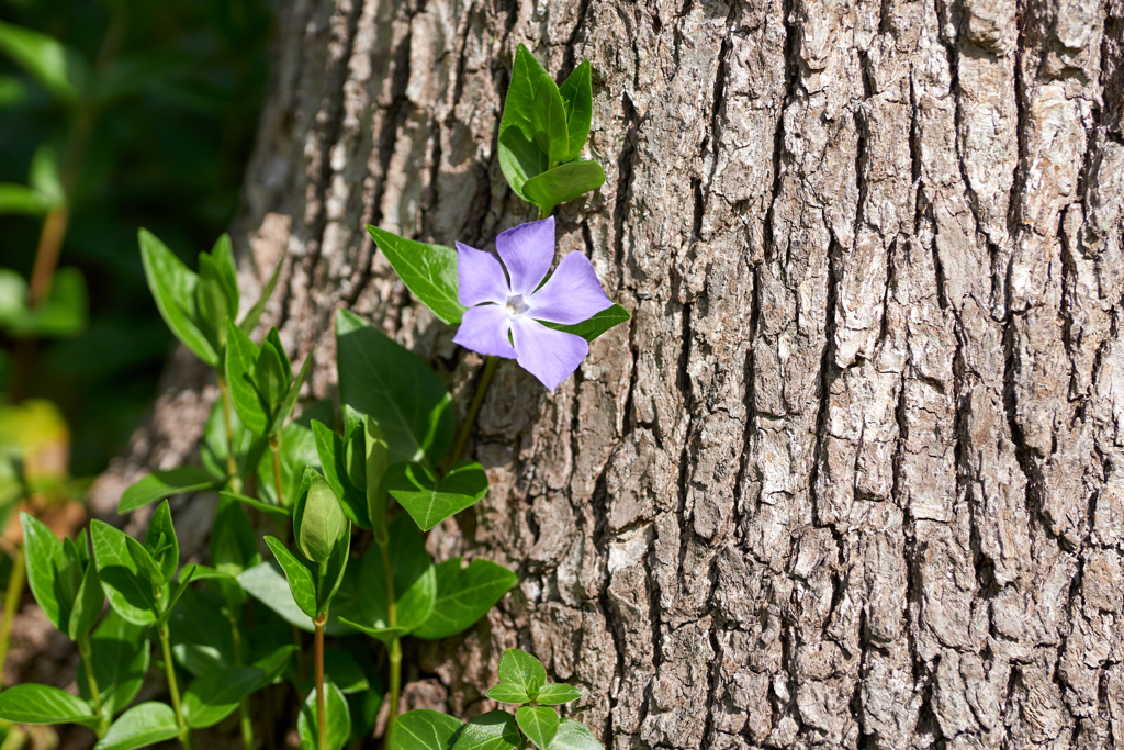 DSC00415_1