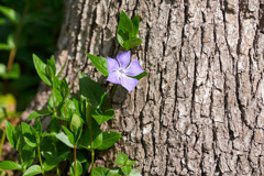 DSC00415_1