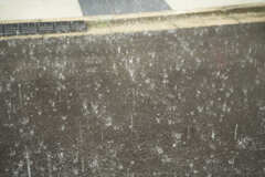 DSC02010b