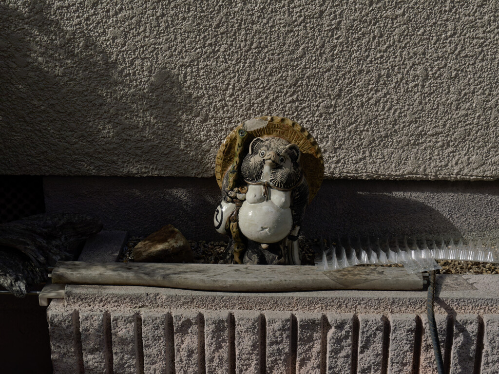 _1069979_DxO