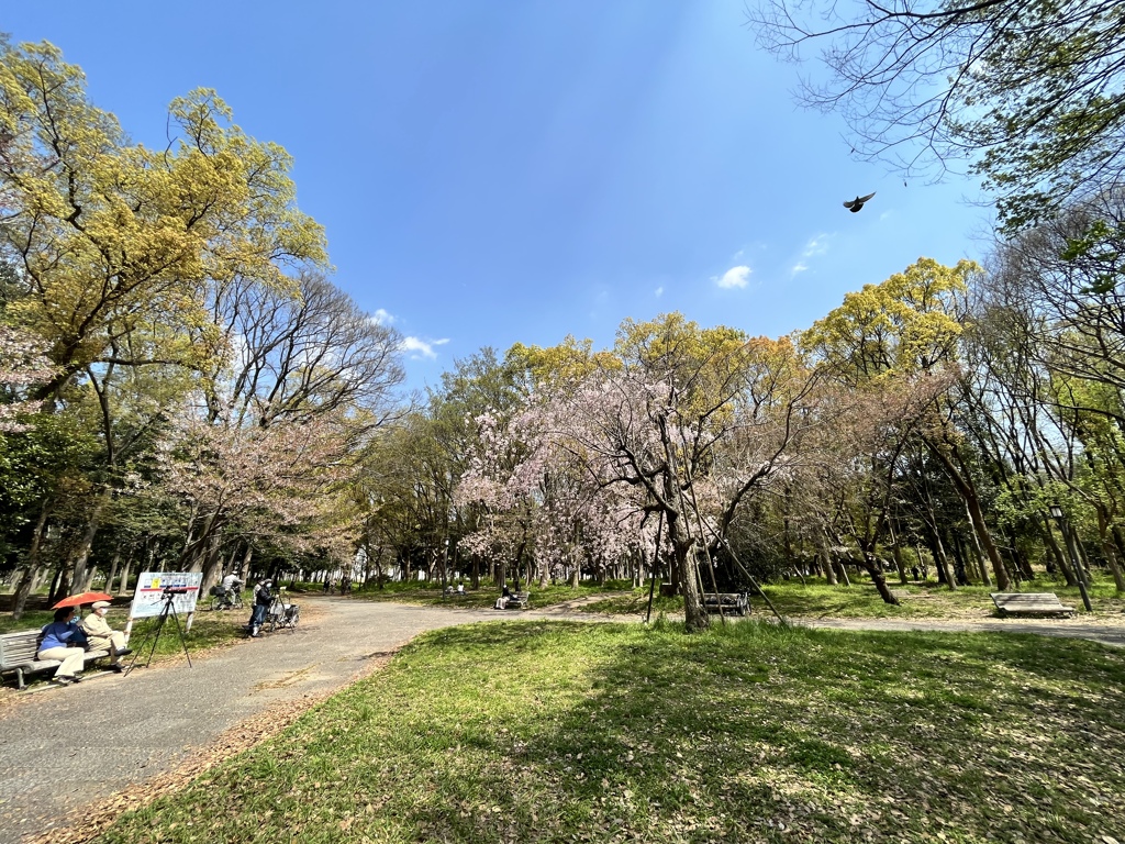 B22D51B9-CD1B-4E85-9293-D13C17756544
