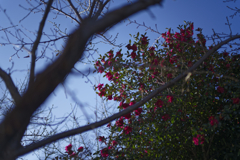 _7R32172_DxO