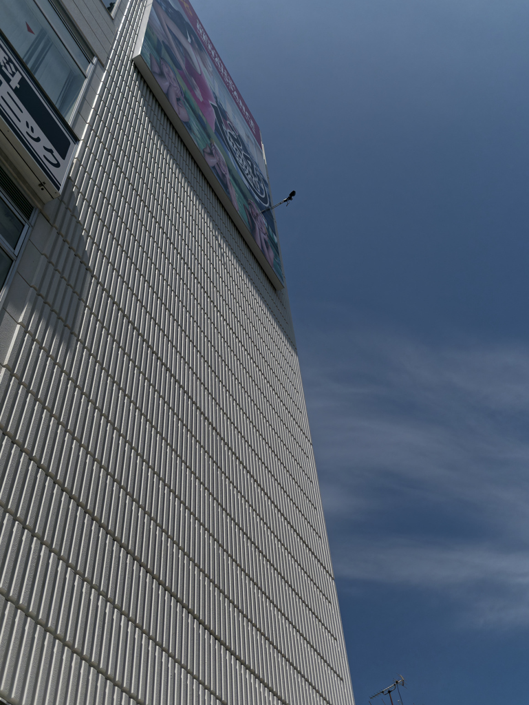 _1000162_DxO