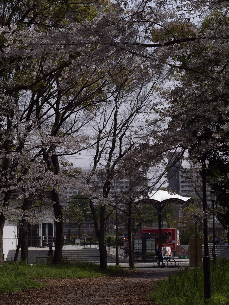 _G9P4523_DxO