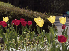 _G9P8189_DxO