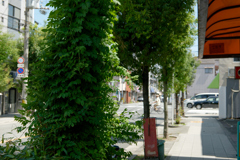 P1000702_DxO