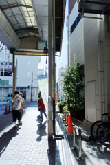 太陽の季節