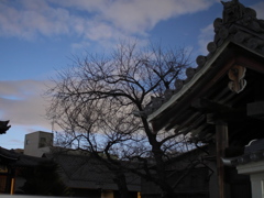 P1051273
