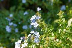 DSC03345b