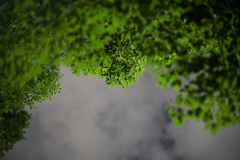 A7C00150