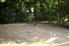 DSC00839