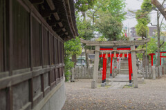 _DSC9776_DxO